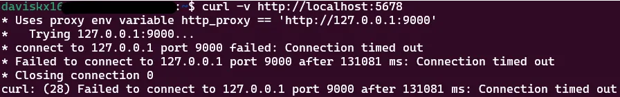 Curl verbose output showing proxy.