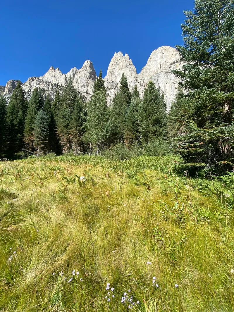 Meadow with some rocky crags.