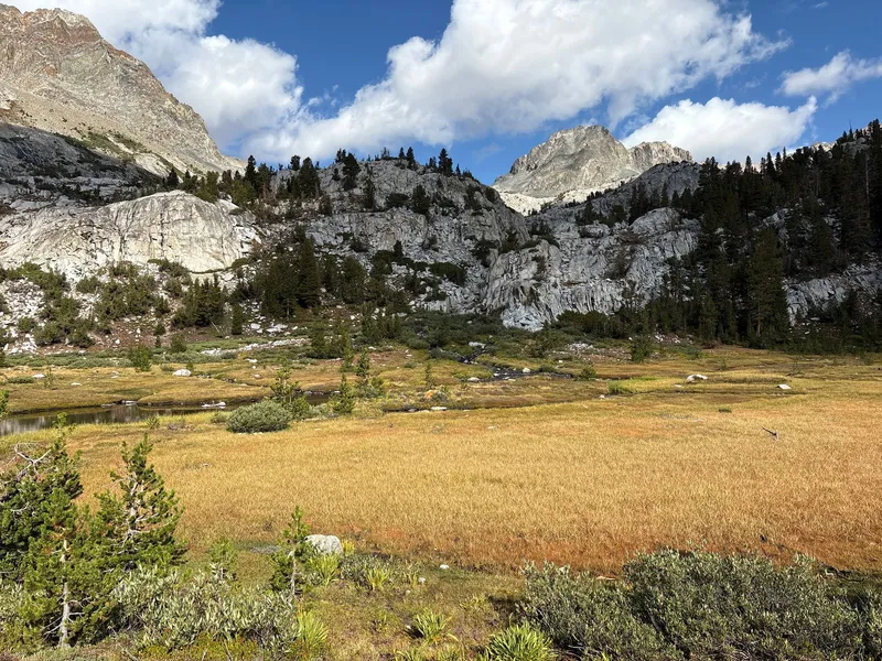 An unnamed alpine meadow.