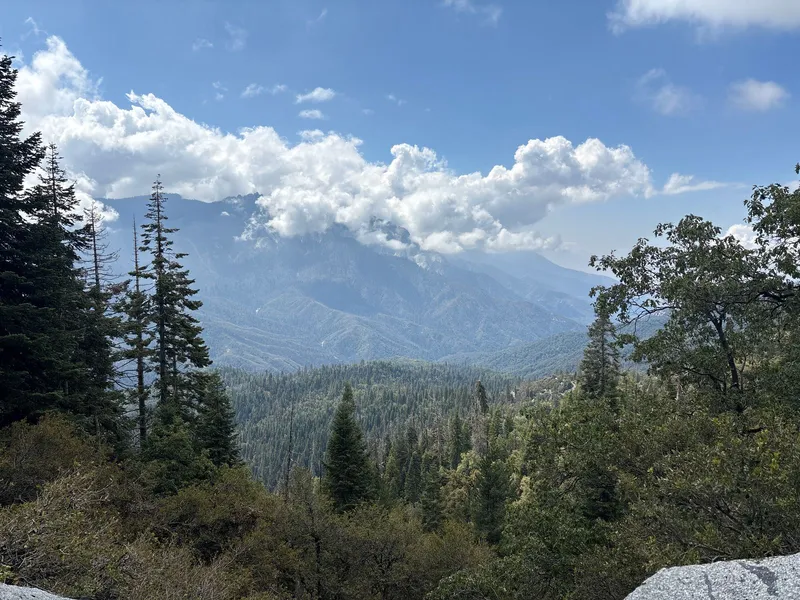 Scenery changing from Kings Canyon back to Sequoia.