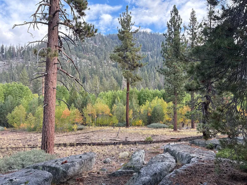 Glen near Sugarloaf Mountain (behind me, not in view).