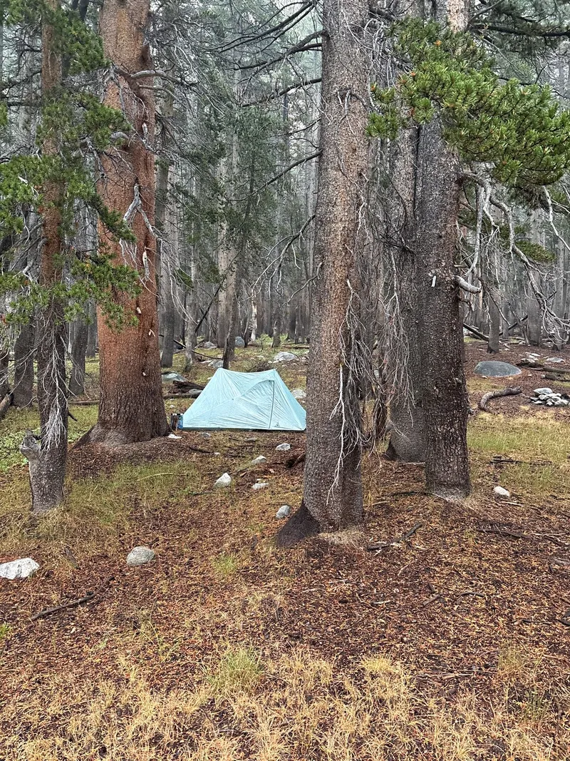 Campsite at Hutchinson Meadow.