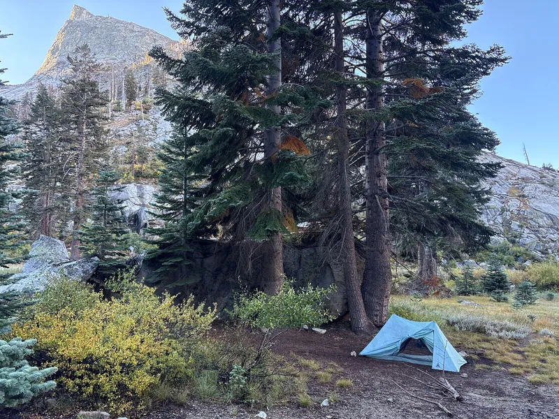 2nd night's camp in Lone Pine Meadow.