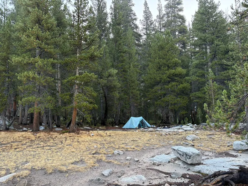 Campsite at McClure Meadow.