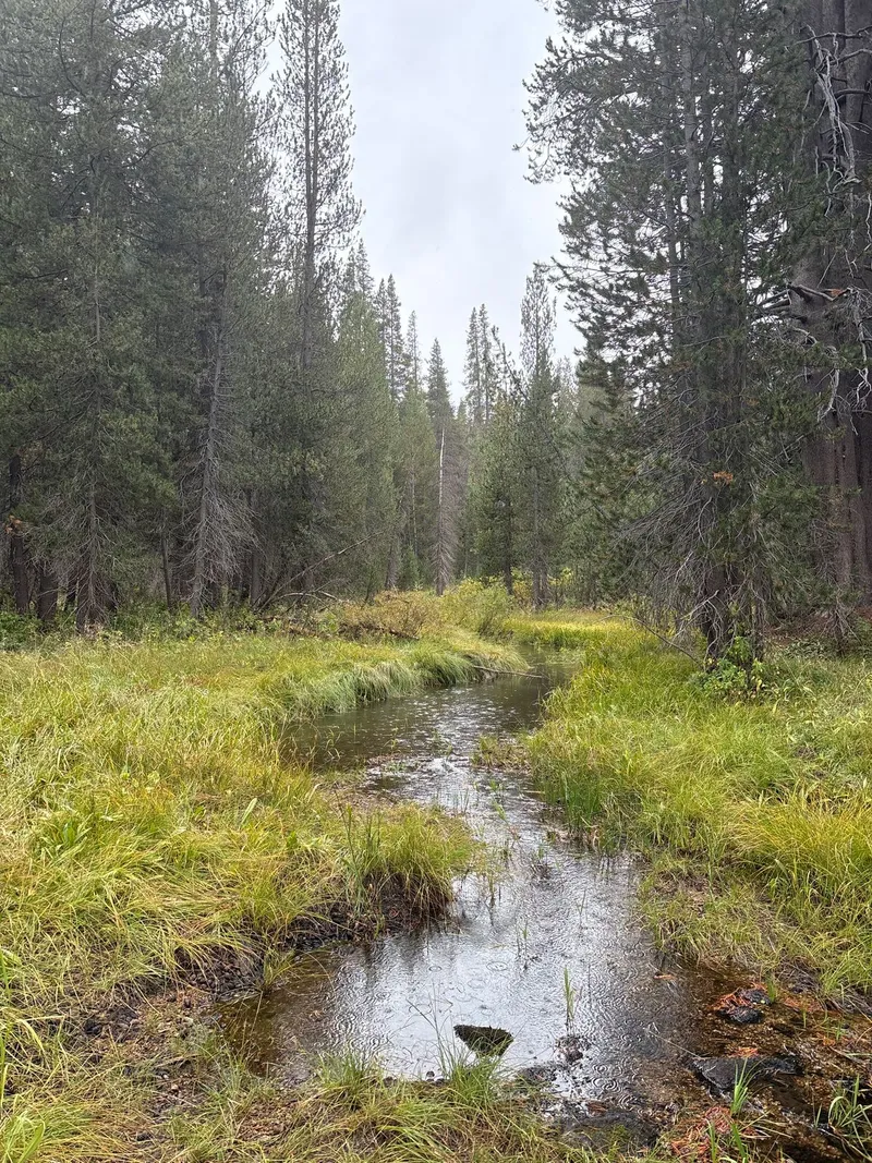 Near Sugarloaf Creek crossing.