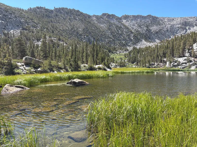Another view of the Tyee lakeshore.