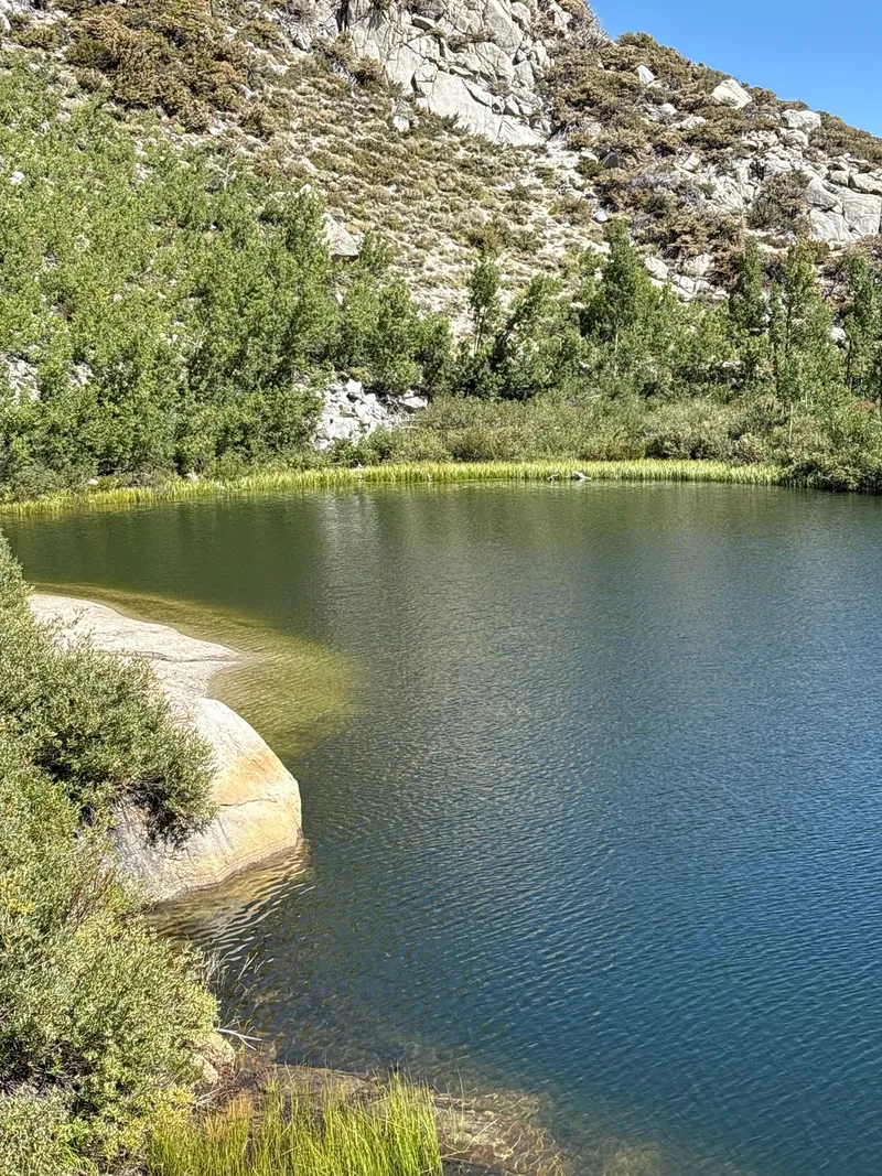 Lower Tyee lakeshore. The beach to the left with the sudden dropoff is actually a large boulder.