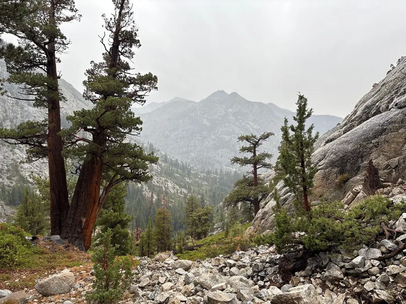 Looking back down Paiute Canyon.